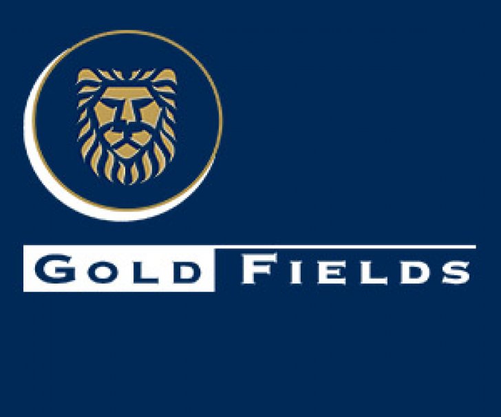 Gold Fields Announces New Leadership Team in Ghana