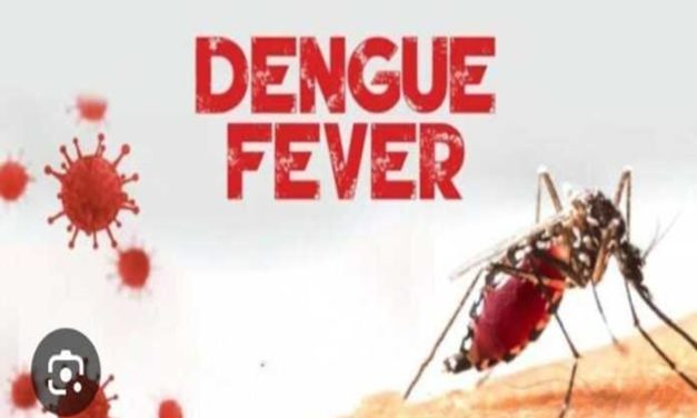 Ghana records 9 cases of Dengue Fever in Eastern Region