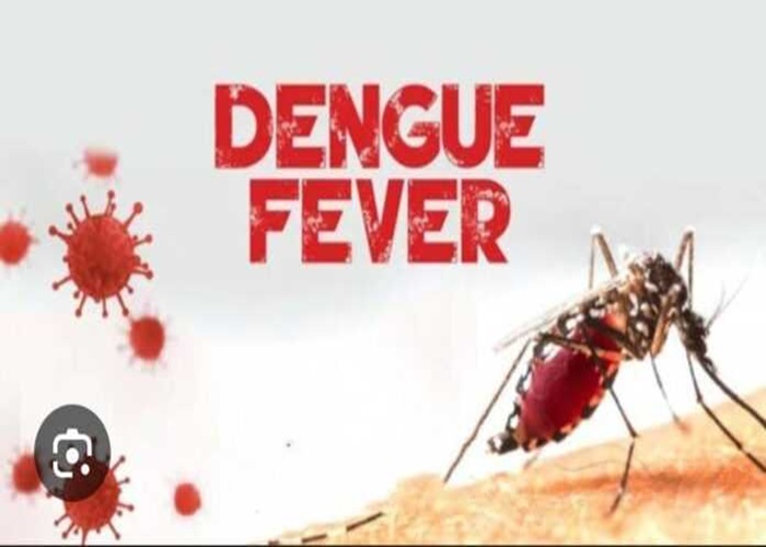 Ghana records 9 cases of Dengue Fever in Eastern Region