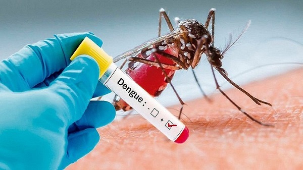 Dengue Fever Outbreak In Ghana, Eastern Region Confirms 45 Cases