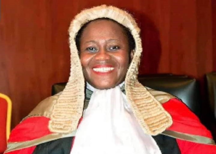 11,710 Court Judgements, Rulings Uploaded on E-Judgement Platform
