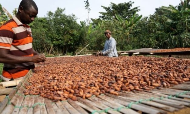COCOBOD opens new cocoa season on September 10