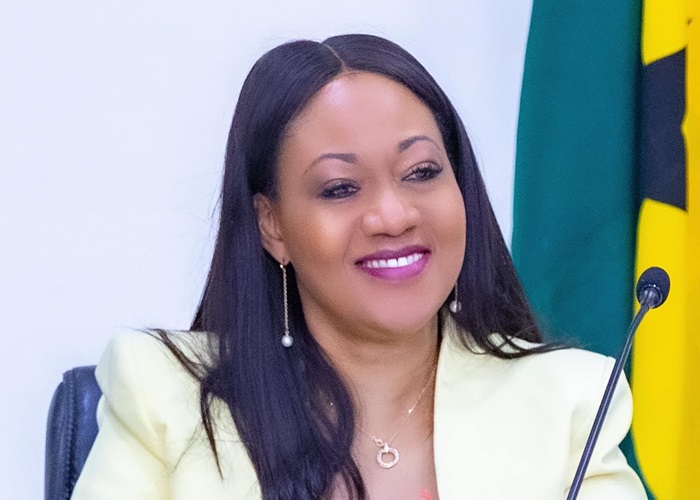 Voter register: NDC fails to present evidence in televised IPAC Meeting