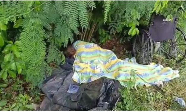 Patient abandoned in bush to die: Winneba Hospital staff handed to CID