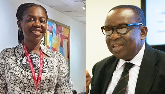 Abduction: National Security denies involvement, initiates investigations