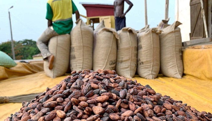 Cocoa firms pour money into Ghana in bid to avert more losses