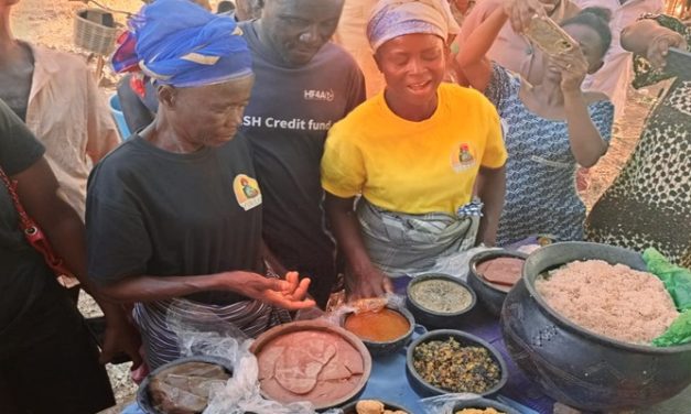 Yirkasa Social Enterprise hosts local food fair to empower women