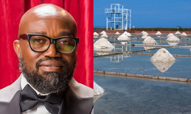 Attacks salt factory jeopardise McDan’s $88m investment
