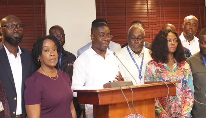 Vetting: Minority accuses Ahiafor of blocking questions
