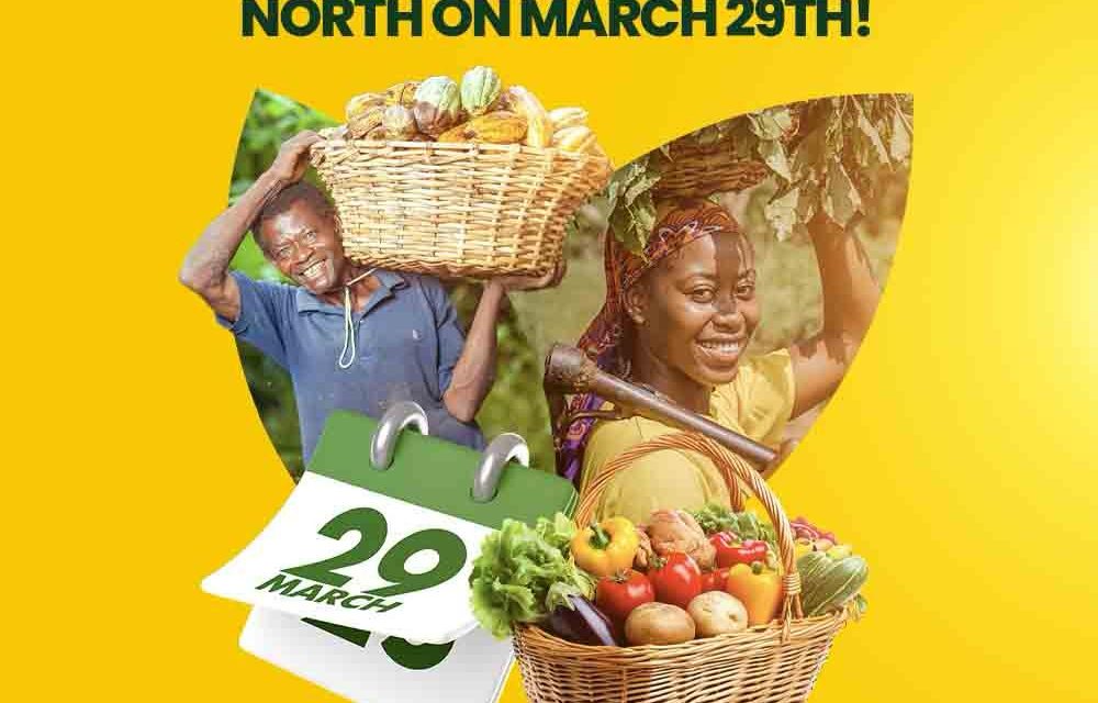 More to buy and sell as Ofie Market Experience comes alive this Saturday