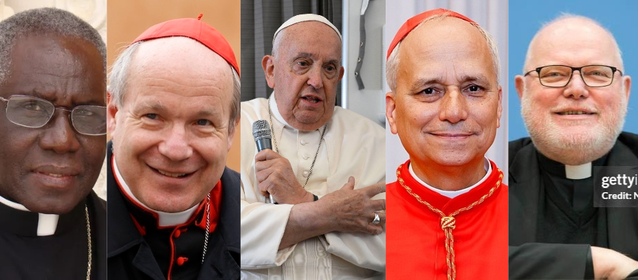 Who will succeed Pope Francis ?