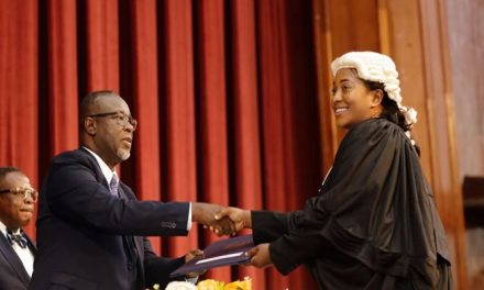 Don’t turn law practice into profit-driven enterprise —Ag. CJ