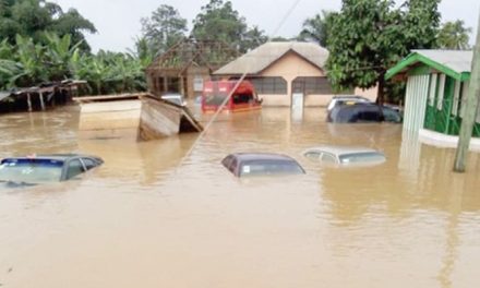 5 deaths recorded in Accra after Sunday’s downpour – NADMO